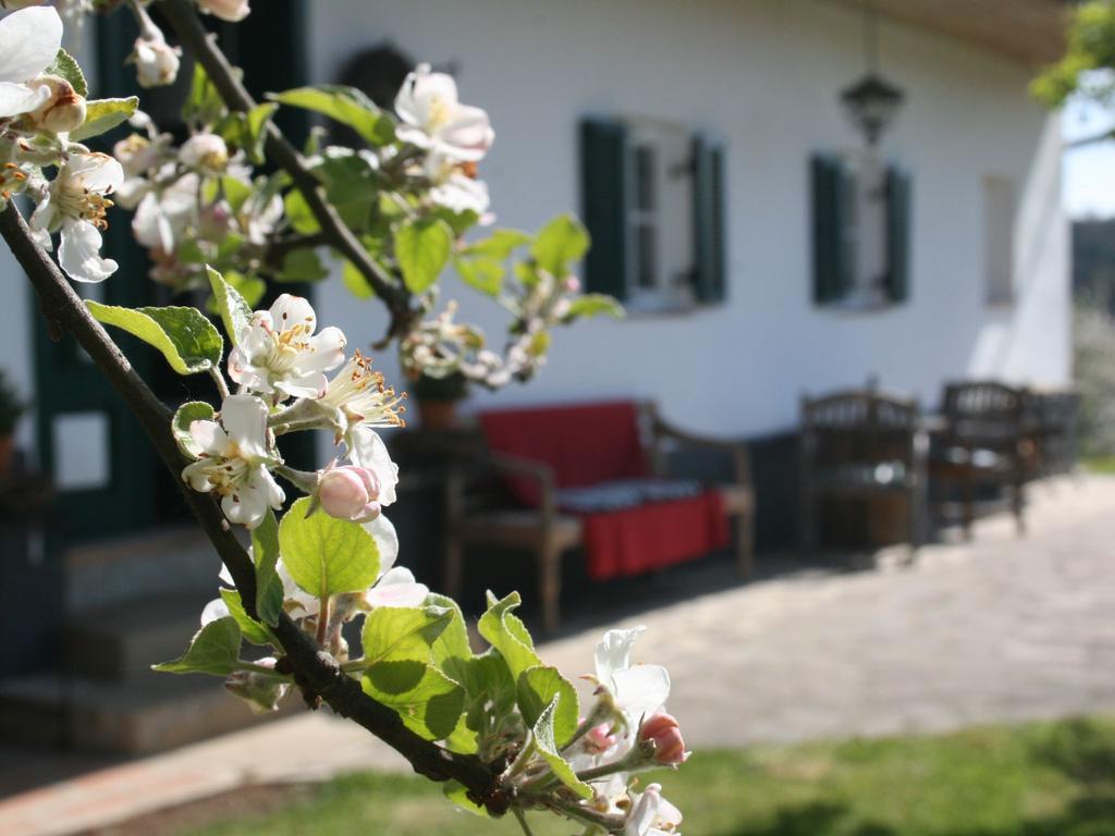 Sonnenhaus Grandl Lägenhet Feldbach  Exteriör bild